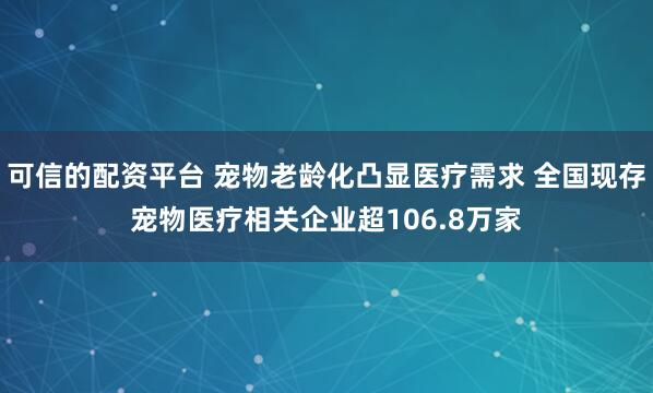 可信的配资平台 宠物老龄化凸显医疗需求 全国现存宠物医疗相关企业超106.8万家